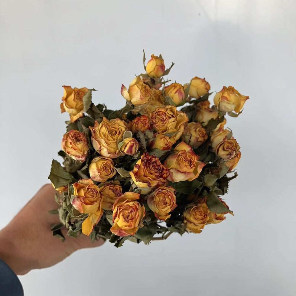 Echte, geconserveerde rozen, g - Resin Craft Ideas recensie en prijs